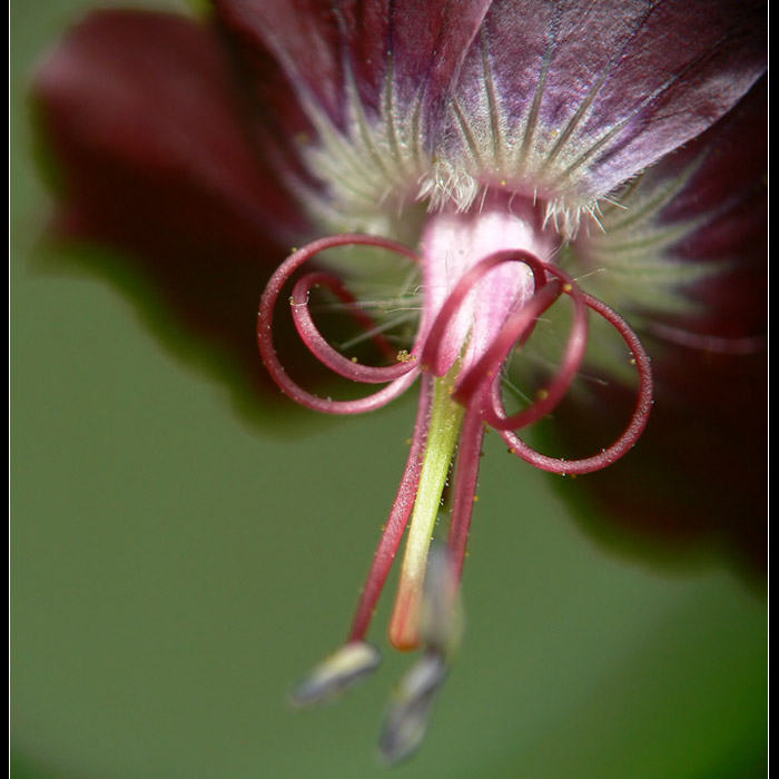 Nenapadny a elegantny