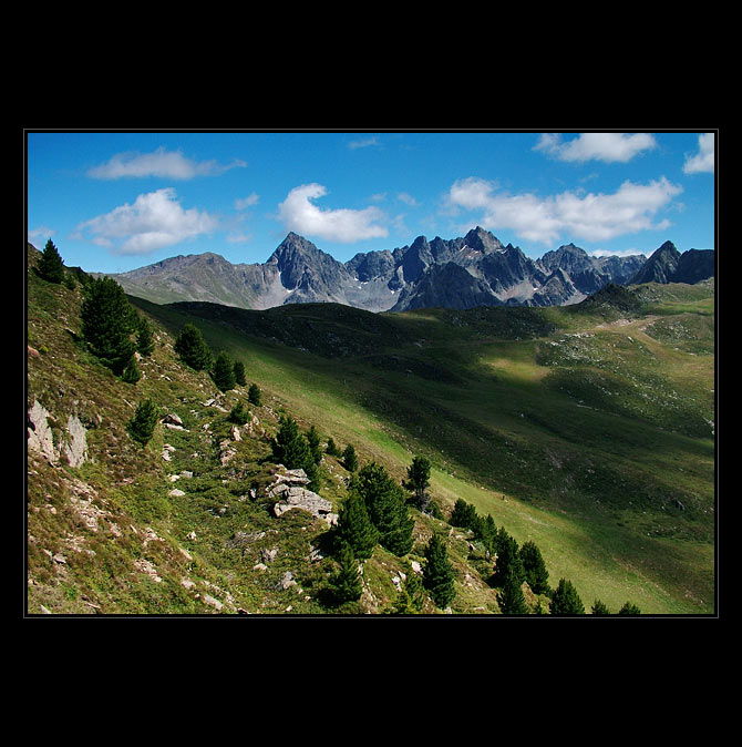 Geigenkamm II.