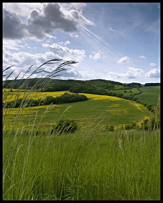 Z prechadzky