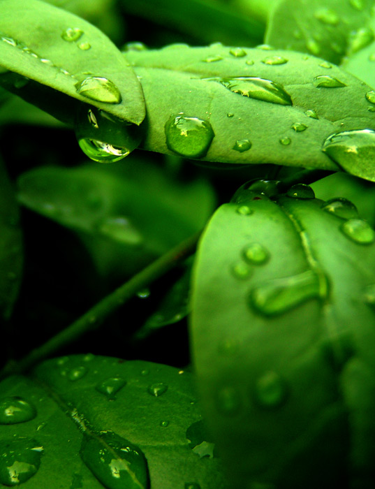 :::Kap kapy kaP:: aneb Doteky