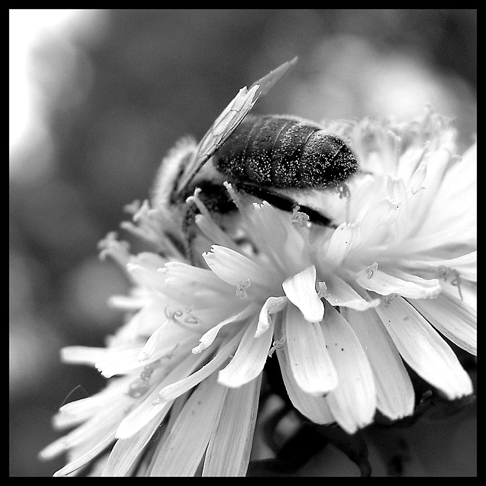 Víte co mi můžete a víte kam