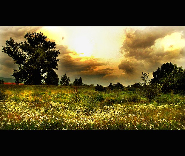 ..fantasy world..