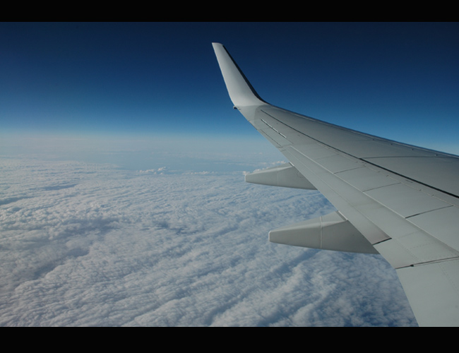 flying home