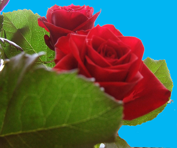 R