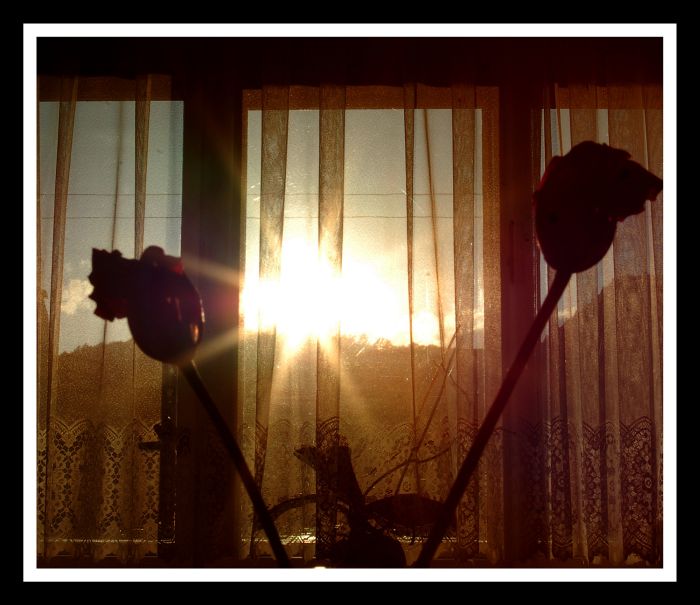 PREPAL mocný PREPAL :) tak si drž svoj metal ;/