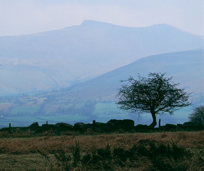 Wales 3