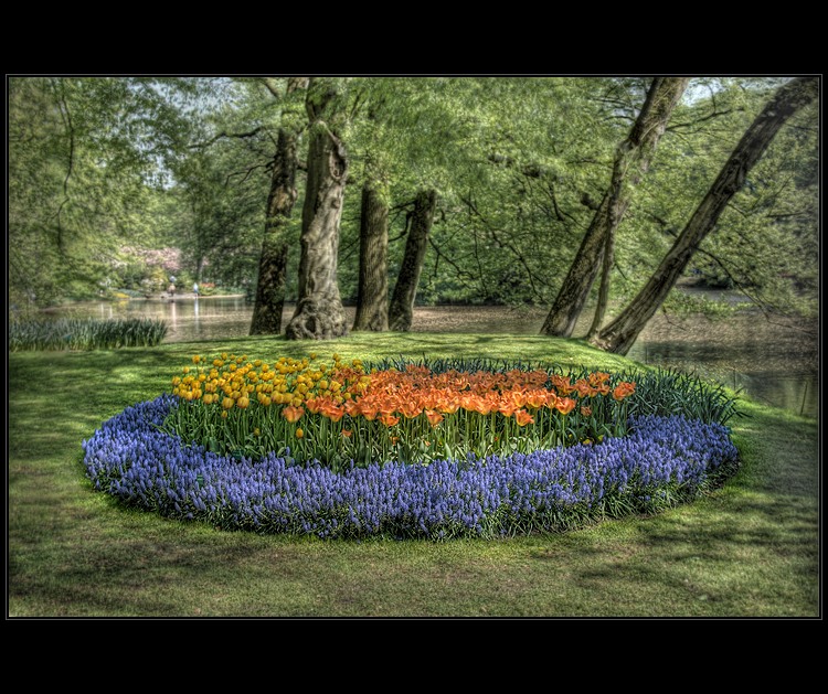 Tulipány ve snu