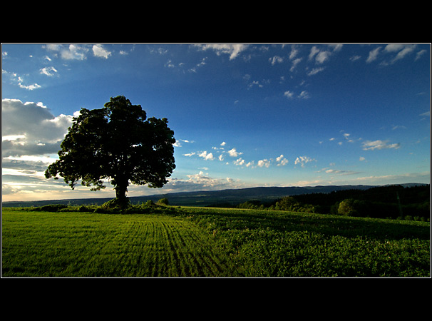 Pavlovický vrch