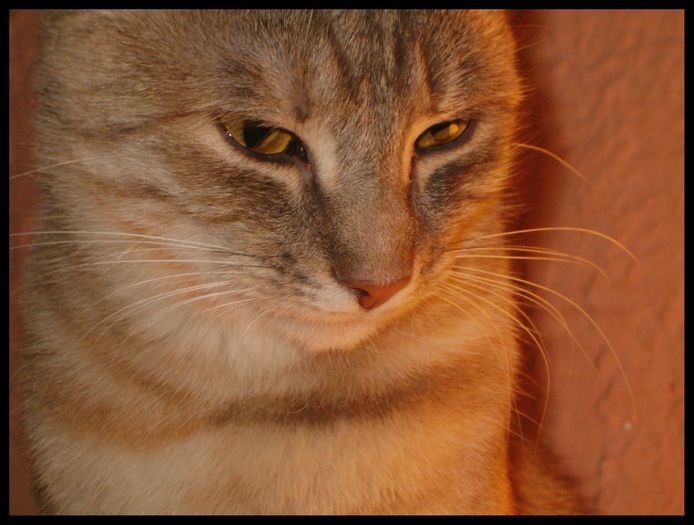 modelka zoška