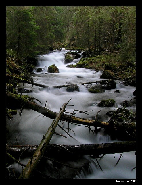 Nízké Tatry - Zadná voda