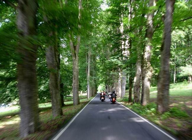 Na vyjížďce - Lázně Kynžvart