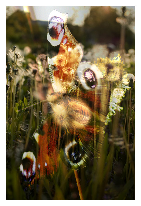 prisla jar (asi III.)