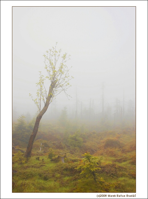 ...mlhavá nová naděje...