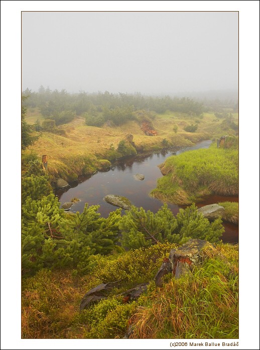 ... ranní pařízek ...