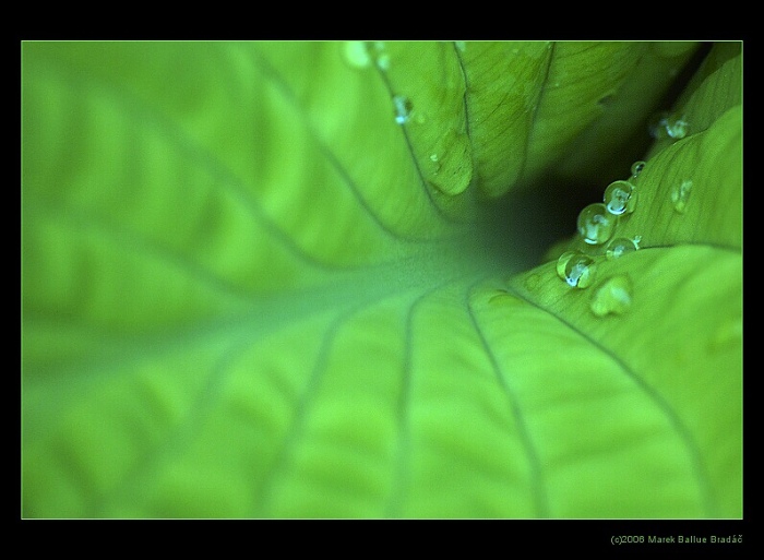 ...zelená klouzačka...