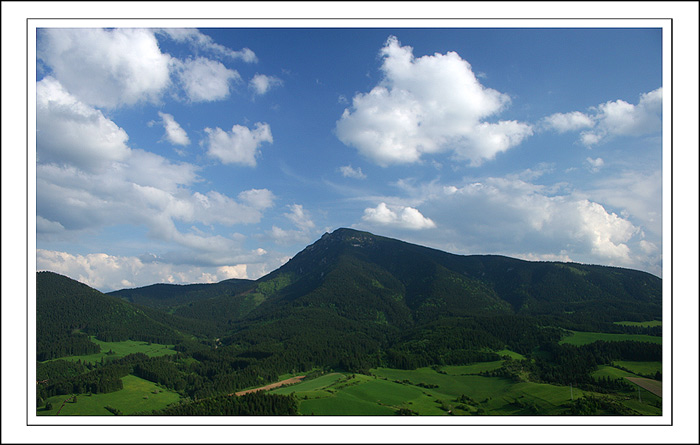 orava