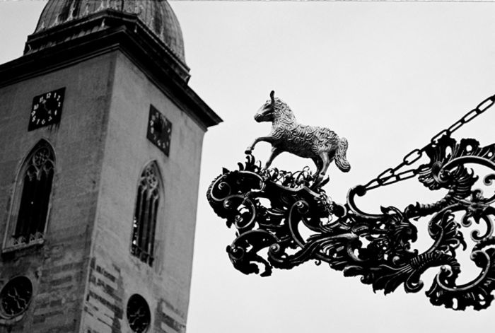 Pegasus