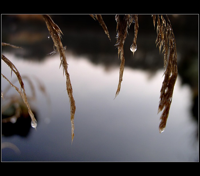 ...poslední slzy Paní zimy...