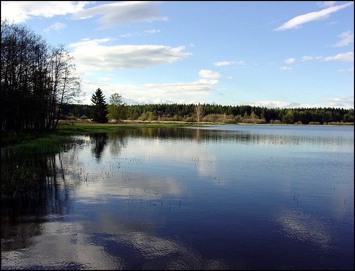 Olšina