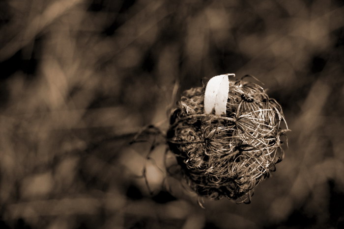 ... až budeš mít  boule za ušima!