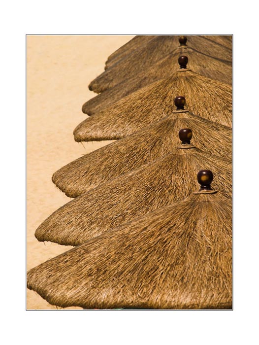 Co jsem nasbiral na plazi... 2.