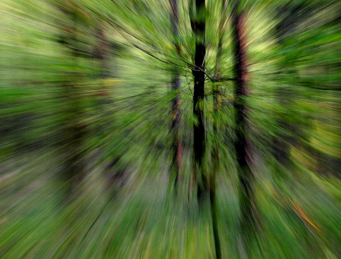 In Motion