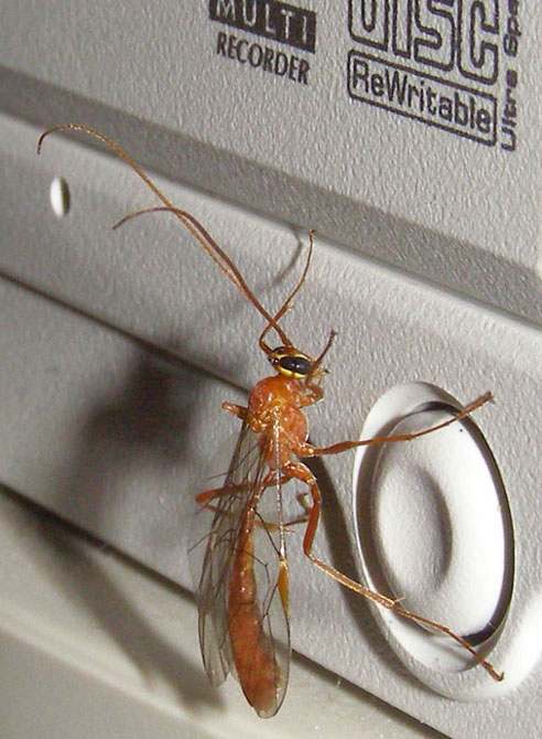 Spouštění DVD mechaniky