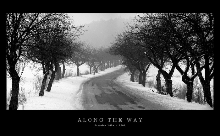 ALONG THE WAY