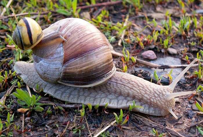 BioTaxík - aneb jak ušetřit energii... :-)