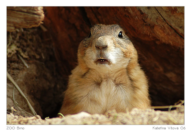 - What\'s up? -