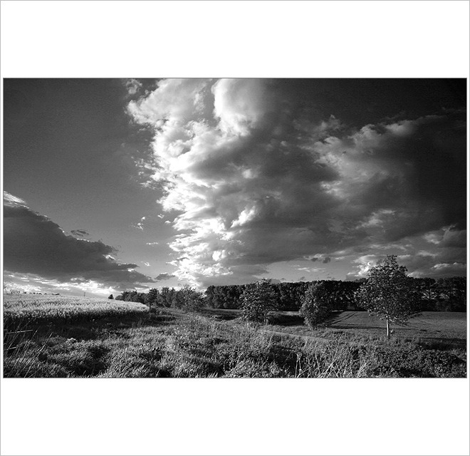 ***Mezi nebem a zemí II.***