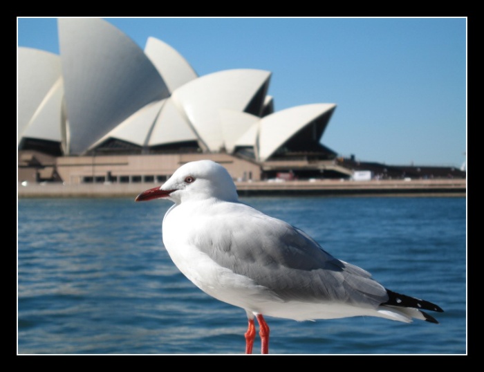Sydney