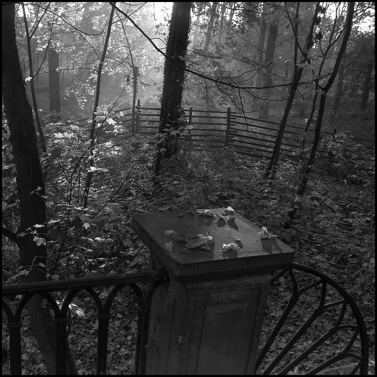 Návraty do veltruského parku XIII. - podzimní zátiší