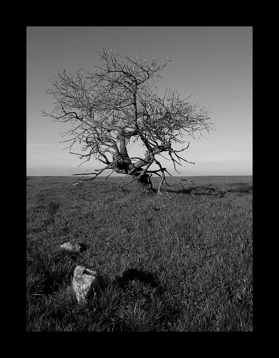 Větrem tvarován...