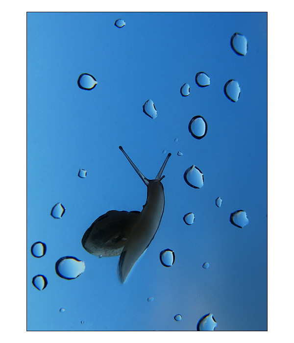 Dnes je to dobre namazane.