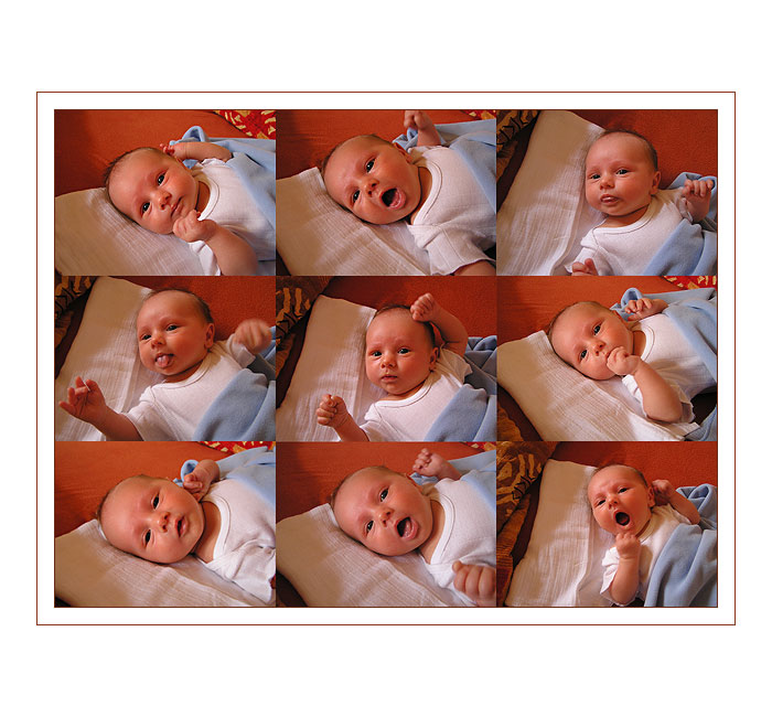 ...:) šklebíky :)...