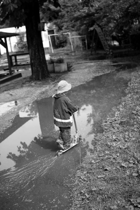 Zo škôlky III. - po daždi