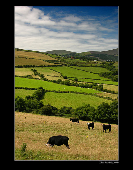 Ireland II.