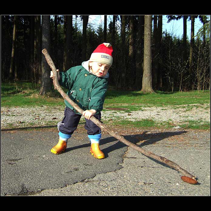 Lesní hokej