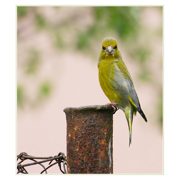 vidím tě, člověče!