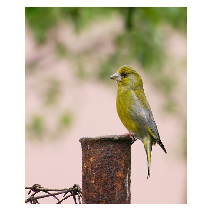 ...ale nevšímám si tě.