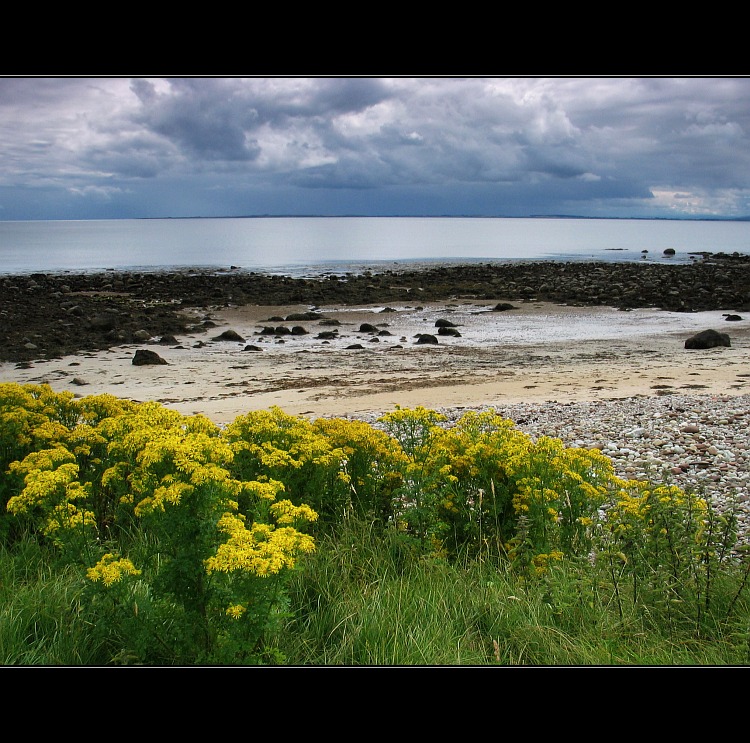 Sutherland coast II.