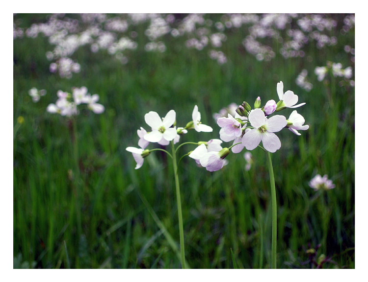 Špitání před spaním :)