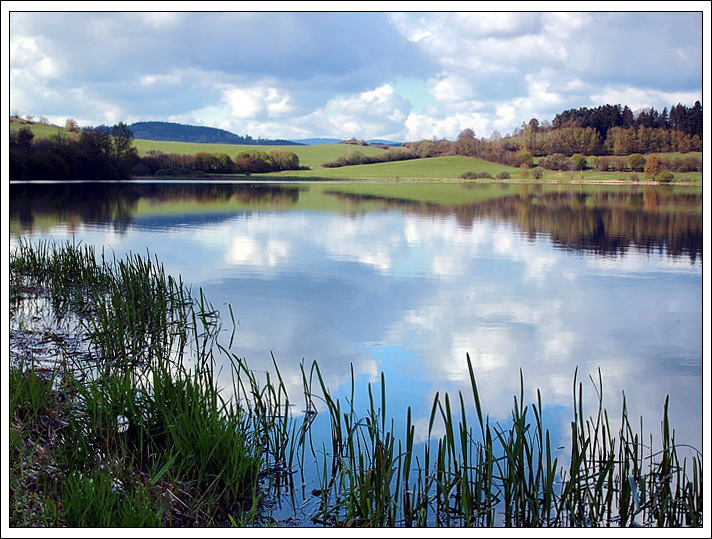 Zbynické rybníky III