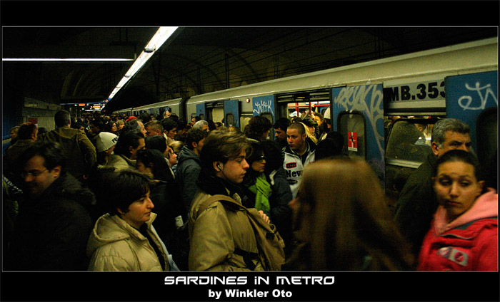 Sardinky, nastupovat!!!