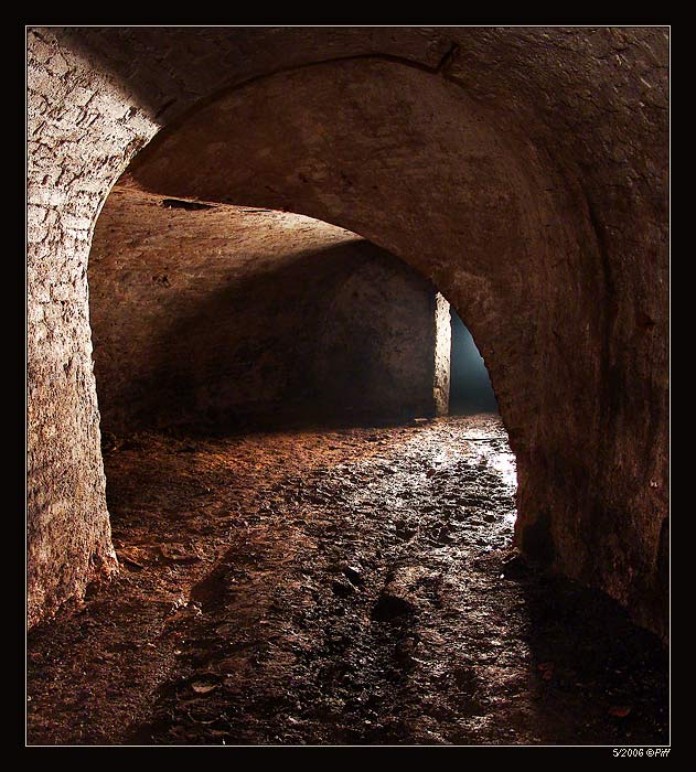 Sklep U sedmi švábů