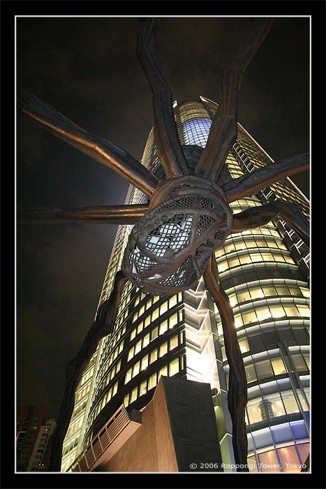 Spider