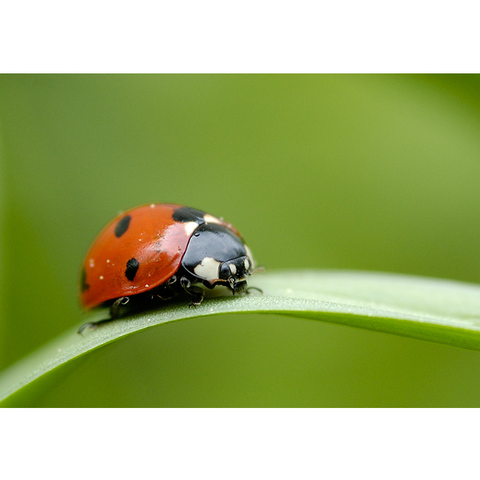 Sedmitečná barevná radost