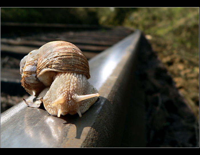 ..::Kolik času ještě mám ??::..