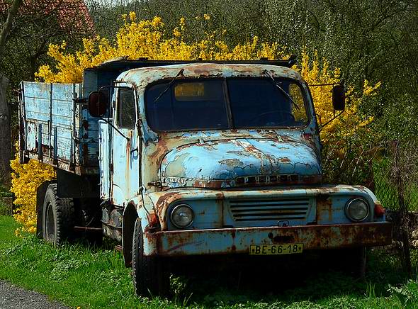 To auto jen kvete !!!